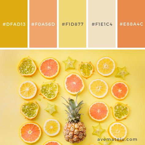 Sunshine Palette, Sunshine Color Palette, Pallets Color, Fruit Logo Design Ideas, Yellow Tips, Sparkling Sangria, Sangria Color, Fruit Logo Design, Autumn Color Palette