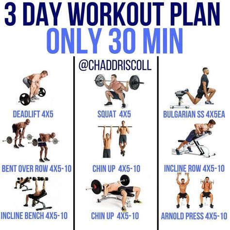 3 Day Workout Plan, Day Workout Plan, 3 Day Workout, Full Body Workout Plan, Medicine Ball Workout, Bolesti Chrbta, Ball Workout, Gym Antrenmanları, Full Body Workout Routine