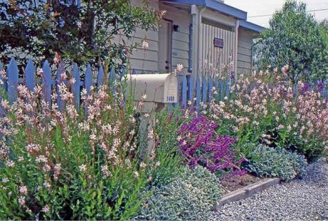 Coastal Landscaping, Seaside Garden, Drought Tolerant Garden, Drought Tolerant Landscape, Cottage Garden Design, Coastal Gardens, English Cottage Garden, Beach Cottage Style, Beach Gardens