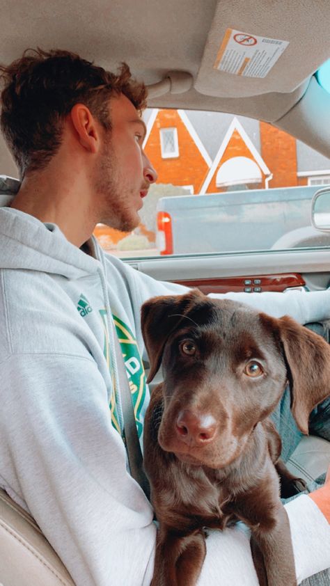 #family #doggie #boyfriend #labrador #puppy #chocolatelabrador #aesthetic Brown Labrador, Lab Puppy, Labrador Retrievers, Chocolate Labrador, Labrador Puppy, Chocolate Lab, Dream Life, Labrador Retriever, Labrador