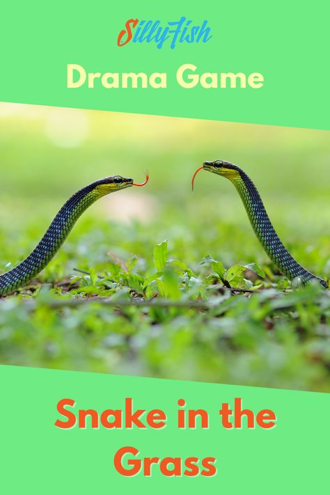 Snake Activities Preschool, Snake Games For Kids, Drama Activities For Kids, Improv Games For Kids, Snake Games, Drama Games For Kids, Improv Games, Silly Fish, Relief Teaching Ideas