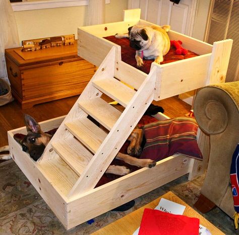 40+ Diy Pallet Dog Bed Ideas • 1001 Pallets Dog Bunk Beds, Katt Diy, Pallet Dog Beds, Dog Feeding Station, Diy Bunk Bed, Dog Stairs, Bunk Beds With Stairs, Diy Dog Bed, Dog Rooms