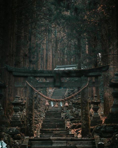 Old Japanese Aesthetic, Shrine Wallpaper, Shrine Aesthetic, Temple Aesthetic, Japan Shrine, Japanese Shrine, Ancient Japan, Shinto Shrine, Japanese Temple