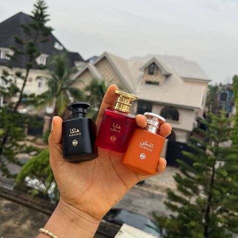 Taskeen Mini in 30ml Price : 4,500 To order now : Send a DM/WhatsApp message to 08127006323 . . . . . . . . . . . . #perfumevendor #smallbusinessowner #fyp #reelsexplore #reelsviral #legitvendorsng #shopscentshaven #perfumestore #goviral #explorepage #smallbusinessmarketing #smallbusinessmarketingtips #instagrammarketing #instagrammarketingtips #instagramforbusiness #miniperfumes . . . . . . . . . . . . . . . . Perfumes. Perfumes in Lagos. Perfumes in Abuja. Perfume vendor in Lagos. Perf... Perfume Vendor, Perfume Store, Instagram Marketing Tips, Whatsapp Message, Perfume Collection, Instagram Marketing, Small Business Marketing, Order Now, Scents