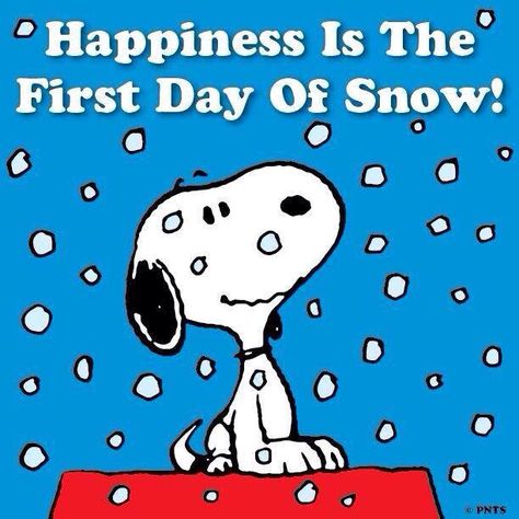 First snowfall Hello Kitty Imagenes, Snoopy Dog, First Day Of Winter, Winter Quotes, Peanuts Cartoon, Peanuts Characters, Snoopy Quotes, Peanuts Christmas, Snoopy Pictures