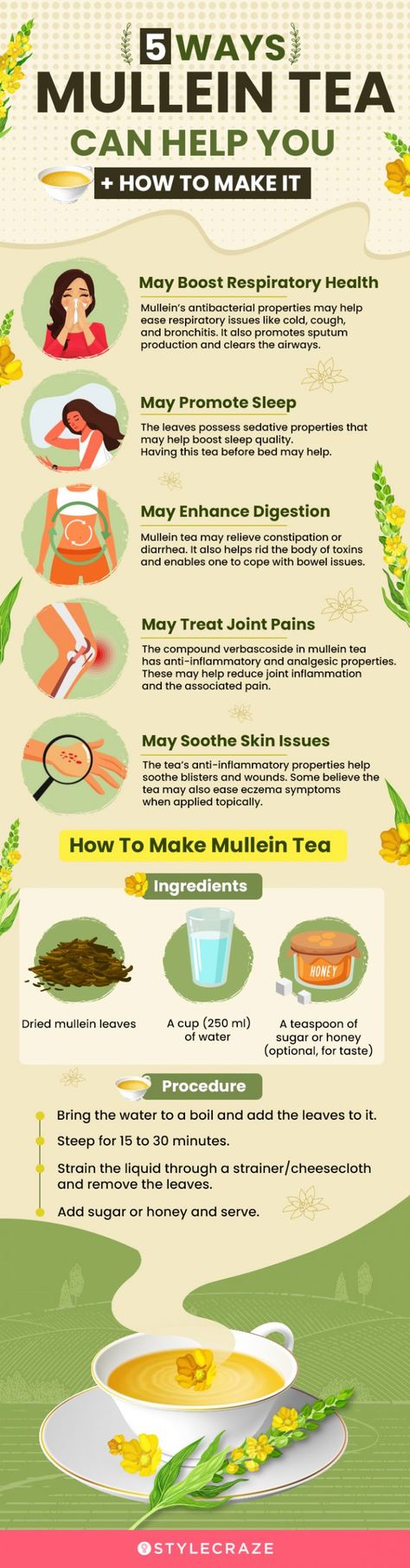 Benefits Of Mullein, Herb Kitchen, Wild Crafting, Mullein Tea, Best Cough Remedy, Natural Path, Diy Medicine, Herbs Garden, Tea Making