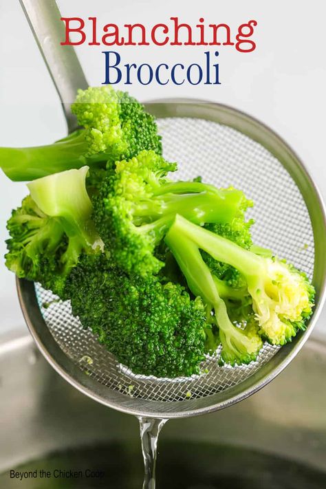 Blanching broccoli is a great way to parboil broccoli to cook broccoli to preserve the crispness and vibrant color. Use in casseroles, eat as is or freeze to use later. #broccoli #blanching #parboil Blanch Broccoli How To, Fresh Broccoli And Cauliflower Recipes, Barbara Broccoli, Blanching Broccoli, Blanched Broccoli, Broccoli Stalks, Freezing Veggies, Cook Broccoli, Broccoli Stalk