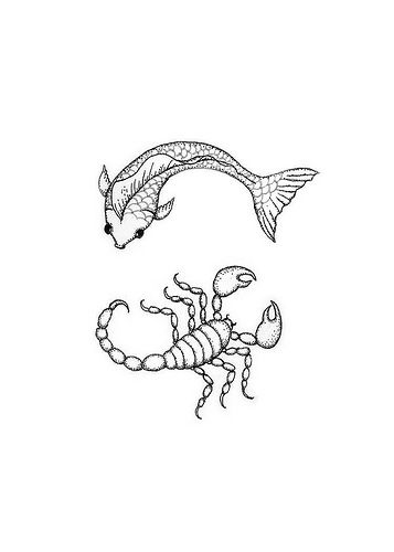 scorpio and pisces Tattoo That Represents Change, Year Of The Dragon Tattoo, Brothers Sign, Scorpio Zodiac Tattoos, Infected Tattoo, Pisces Constellation Tattoo, Pisces Tattoo Designs, Virgo Constellation Tattoo, Pisces Scorpio