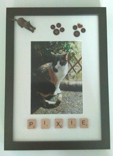 Box frame cat picture. Made this for my friend after her cat passed away. Pet Frames Ideas, Cat Memorial Shadow Box Ideas, Memorial Shadow Box Ideas Pets, Dog Memory Box Frame, Cat Memorial Photo Frame, Cat Frame, Cat Picture, Diy Picture Frames, For My Friend