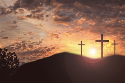 500+ Free Easter Cross & Cross Images - Pixabay Good Friday Images, Persecuted Church, Jesus Sacrifice, Cross Pictures, Attributes Of God, Why Jesus, Jesus Praying, Divine Nature, Bible Translations