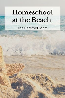 Beach School, Beach Homeschool Ideas, Beach Science Activities, Beach Stem Activities, Beach Stem Activities For Kids, Homeschool Beach Activities, Ocean Study Homeschool, Play Based Learning Kindergarten, Free Ocean Unit Study