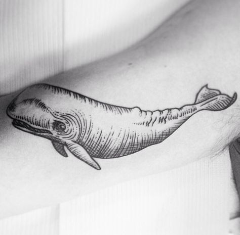 loveee this whale Sophisticated Tattoo, Whale Tattoo, Ocean Tattoo, Tattoo Leg, Whale Tattoos, Ocean Tattoos, Bad Picture, Bang Bang, Tattoos And Piercings