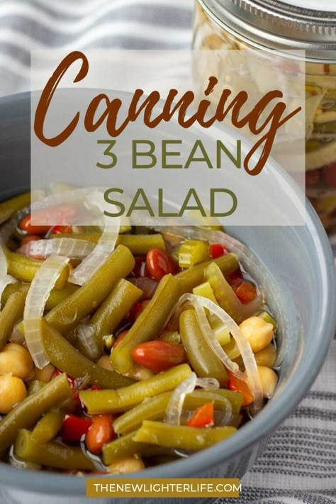 Canning Bean Salad, Vegetarian Pressure Canning Recipes, Pickled Beans Recipe Canning, Pressure Canning Hummus, Canning Three Bean Salad, Pickled Bean Salad, Canning Green Bean Recipes, Green Bean Canning Recipes, Three Bean Salad Canning Recipe