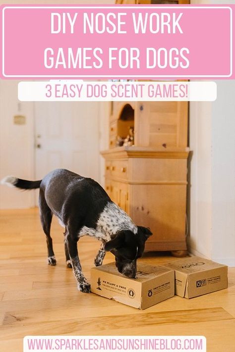 Diy Enrichment Toys For Dogs, Dog Boredom Busters Diy, Dog Games Diy, Dogs Nose, Dog Boredom Buster, Games For Dogs, Canine Enrichment, Dog Boredom, Work Games