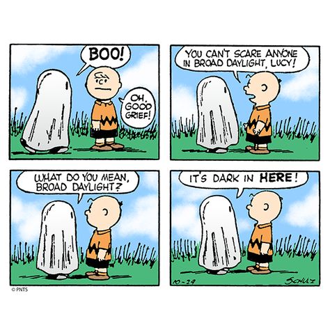 Charles Shultz, I Got A Rock, Halloween Comic, Snoopy Comics, Halloween Eve, Peanuts Halloween, Peanuts Cartoon, Cartoon Strip, Peanuts Characters