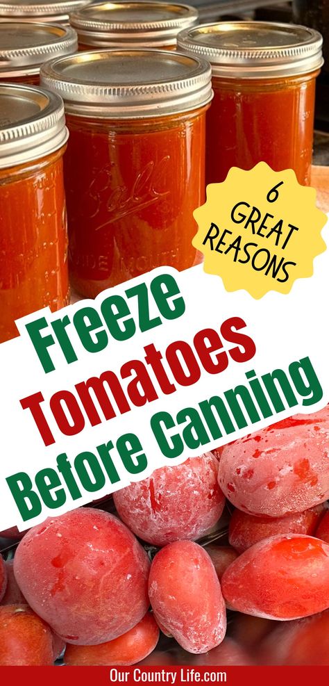 6 Great Reasons to Freeze Your Tomatoes Before Canning – Our Country Life Frozen Tomatoes, Freezing Tomatoes, Freezing Vegetables, Easy Canning, Canning Whole Tomatoes, Canning Tips, Tomato Season, Summer Tomato, Tomato Sauce Recipe