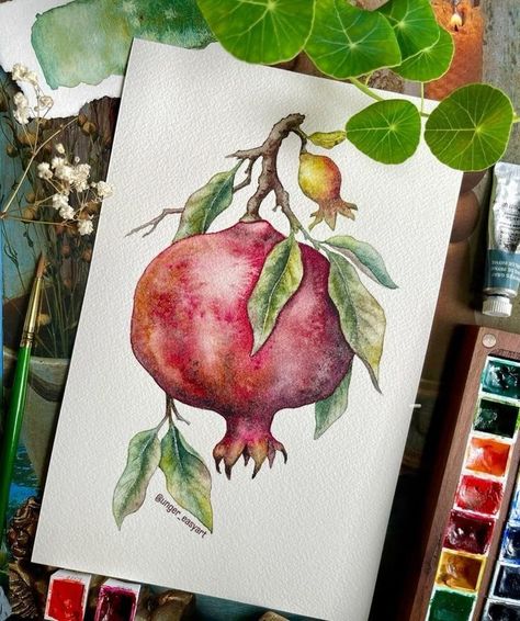 Watercolour Fruits, Akvarel Illustration, Mises En Page Design Graphique, Pomegranate Art, Watercolor Fruit, Watercolor Projects, Watercolor Paintings Easy, Fruit Painting, Watercolor Flower Art