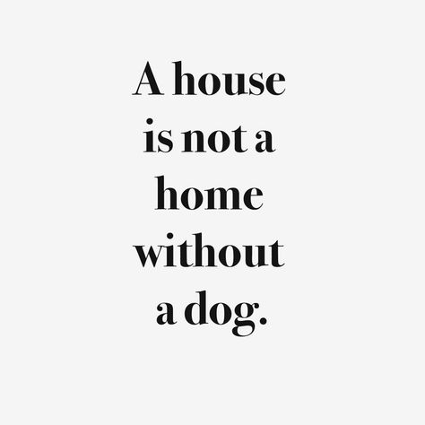 Dog Quote, 20th Quote, Bohol, Best Friend Quotes, Animal Quotes, Dog Quotes, Love Your Life, A Quote, Mans Best Friend