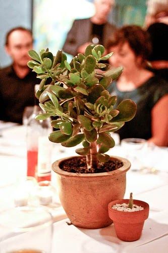 Eco-Friendly Wedding Ideas Plants For Centerpieces, Picture Wedding Centerpieces, Plant Bouquet, Frugal Wedding, Eco Friendly Cleaning Products, Eco Wedding, Sustainable Wedding, Inexpensive Wedding, Offbeat Bride