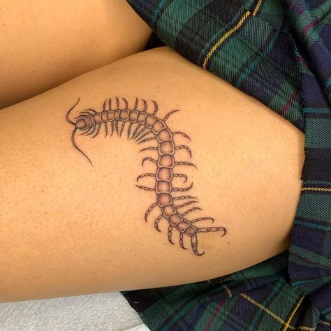 Halle ☆ (@paperrcutt) posted on Instagram: “Super fun centipede for the amazing Frida ⭐️” • Apr 3, 2021 at 10:54pm UTC Centipede Stick And Poke, Simple Centipede Tattoo, Centipede Knee Tattoo, Small Centipede Tattoo, Centipede Tattoo Design, Centipede Drawing, Centipede Tattoo, Becoming A Tattoo Artist, Bug Tattoo