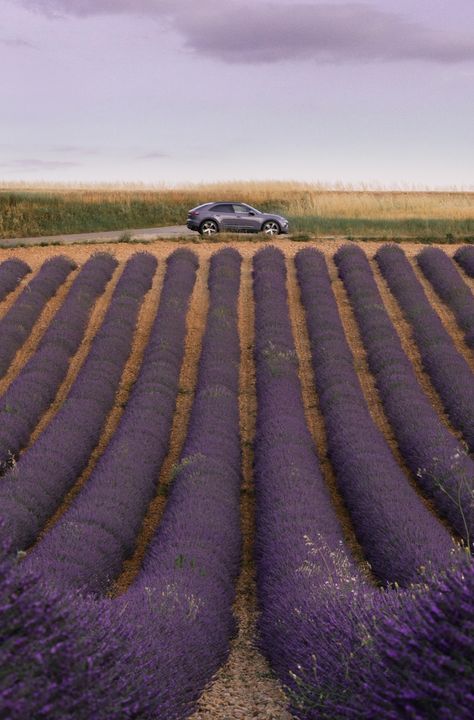 Sun-drenched summer days are always special in the South of France, which is why we embarked on a journey to the French Riviera for The Art of Dreams. Joined by the Porsche Macan in the aptly named shade, Provence, we explored the breathtaking region that inspired the lavender colour of the car. Lavender Colour, Porsche Macan, The French Riviera, The South Of France, Everyday Luxuries, French Riviera, A Sea, South Of France, The South