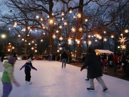 Backyard Ice Rink, Backyard Rink, Outdoor Skating Rink, Outdoor Ice Skating, Outdoor Skating, Skating Rink, Ice Rink, Christmas Town, Christmas Wonderland