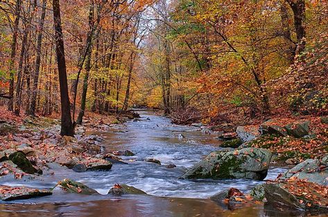 Bel Air Maryland, Colonial Beach, Eastern Shore Maryland, Scenic Railroads, Weekend Escape, Waterfront Property, Most Beautiful Cities, Ocean City, Best Cities