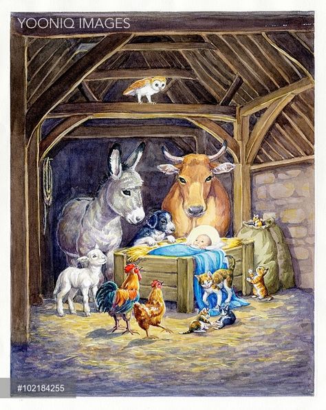 Jesus in Manger surrounded by animals Charity Christmas Cards, Christmas Jesus, Christmas Nativity Scene, Christmas Scenes, Christmas Nativity, Vintage Christmas Cards, Baby Jesus, Christmas Paintings, Christmas Illustration