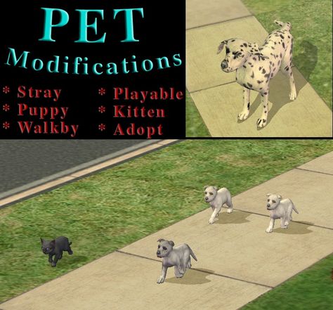 Ts2 Mods, Sims 4 Pets Mod, Sims 2 University, Sims 2 Pets, Sims Pets, Sims 2 Hair, Ts2 Cc, Before Running, The Sims 2