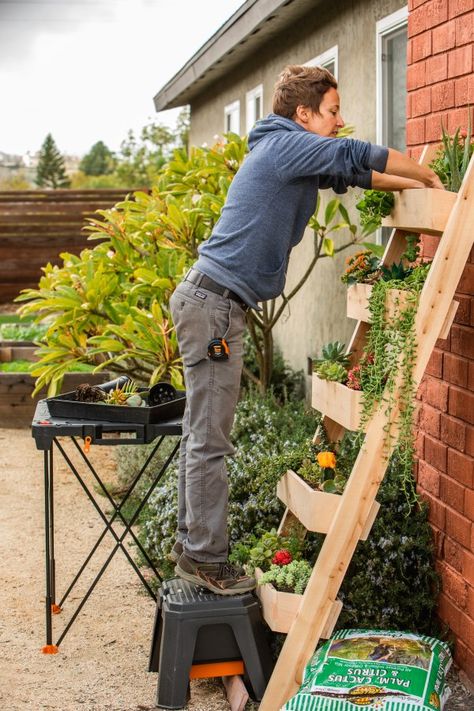 Easy DIY Planter Ladder Living Wall Planter Ladder, Living Plant Wall, Living Wall Diy, Backyard Decorating, Cedar Fence Pickets, Garden Fences, Garden Tables, Tiered Planter, Diy Planter