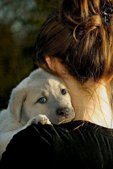 Welcome to the Family... by Karen  Helgesen Bear Cabin, Dog Photoshoot, Appaloosa, Quarter Horse, Jolie Photo, Alam Yang Indah, Dog Photography, Black Bear, Dog Photos