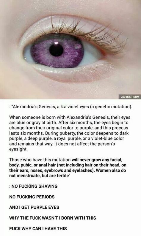 Natural purple eyes ♡ Alexandria Genesis, Human Oddities, Genetic Mutation, Violet Eyes, Purple Eyes, Colored Contacts, The More You Know, What’s Going On, Just Amazing