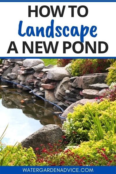 Pond Landscaping Ideas, Pond Building, Peaceful Sounds, Small Backyard Ponds, Floating Pond Plants, Water Garden Plants, Ponds For Small Gardens, Fish Pond Gardens, Backyard Ponds