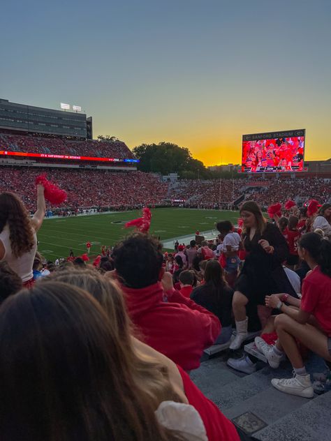 #uga #godawgs #collegefootball #gameday Uga Tailgate, College Mood Board, Sanford Stadium, Future Vision Board, Career Vision Board, Go Dawgs, Future Vision, College Board, Dream College