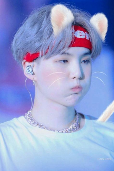 Bp Pp, Suga Cat, Cutie Aesthetic, Aesthetic Pp, Cat Kawaii, Min Yoongi, Bts, Kawaii