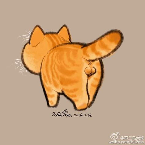 Source : @不二马大叔 Ginger Cat Art, Creating A Capsule Wardrobe, Wardrobe Revamp, Africa Art Design, Most Beautiful Cat, Cat Tattoo Designs, Cute Cat Drawing, Beautiful Cat Breeds, Cat Pose