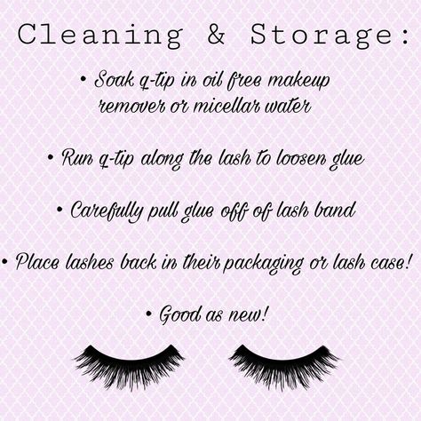 Strip Eyelash Business Ideas, Strip Lash Business Ideas, Eyelash Content, Strip Lash Business, Lash Marketing, Clean Your Lashes, Dash Boutique, Lash Boss, Eyelash Care