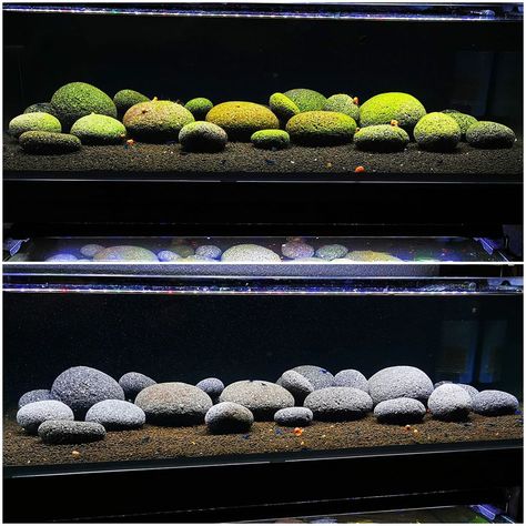 Lava Rock Aquascape, Stone Aquascape, Rock Scape, Paludarium Vivarium, Rock Scaping, River Ideas, Fish Room, Discus Aquarium, Aquarium Stands