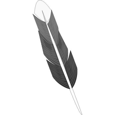 Gray Feather Meaning, Grey And White Feather Meaning, Grey Feather Meaning, Finding A Black Feather Meaning, Black And White Feather Meaning, Brown And White Feather Spiritual Meaning, White Feather Meaning, Black Feather Meaning, Grey Feather Spiritual Meaning