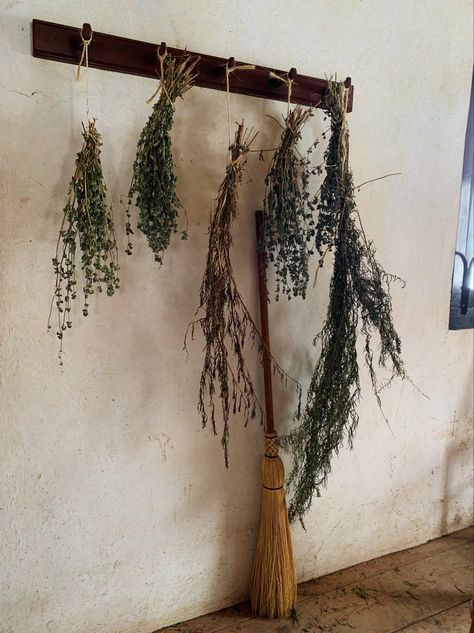 broomstick. drying herbs hung upside down on a wall hanger Witches Storage, Dried Herbs Aesthetic, Witches Herbs, Herb Drying, Witch Herbs, Hanging Herbs, Drying Racks, Dried Herbs, Fall Front Porch