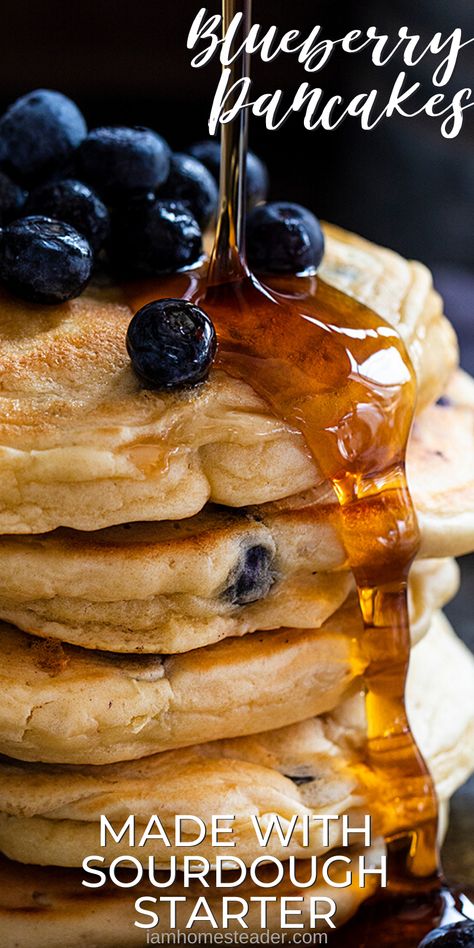 Best Blueberry Pancakes, Sourdough Starter Pancakes, Sourdough Starter Recipes, Blueberry Pancakes Easy, Blueberry Sourdough, Sourdough Pancakes Recipe, Easy Sourdough Bread Recipe, Recipe Using Sourdough Starter, Blueberry Pancakes Recipe