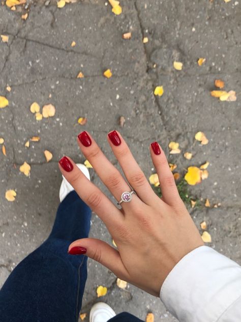 Short Nails Engagement Ring, Ferrari Red Nails Short, Shirt Red Nails, Red Shirt Nails, Shirt Square Nails, Square Nails Red, Nail Aesthetics, Beauty Maintenance, Russian Manicure