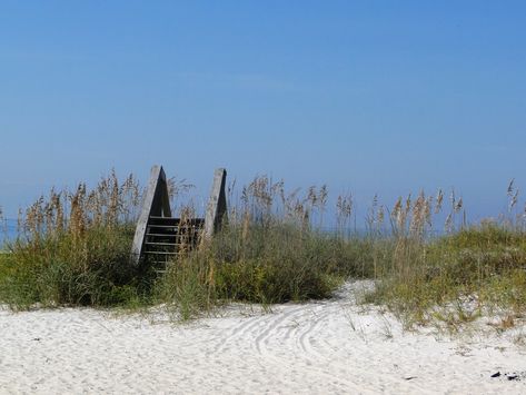 Mexico Beach Fl, Mexico Beach Florida, Usa Florida, The Dolphins, Mexico Beach, Visit Florida, Faux Finish, Coastal Beaches, Florida Travel