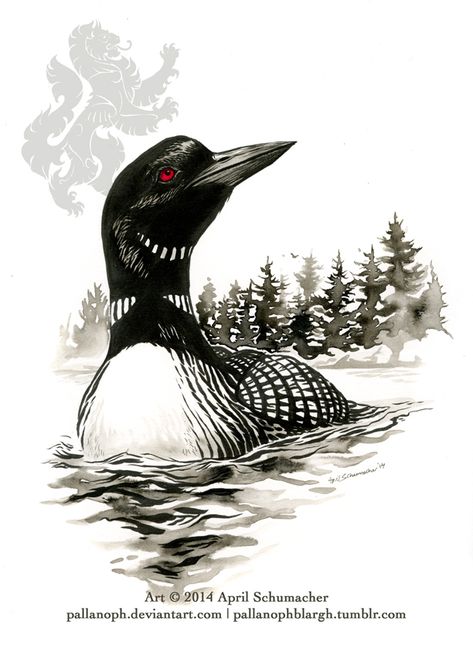 Loon Drawings, Loon Tattoo Ideas, Loon Art, Loon Tattoo, Pyrography Patterns, Bird Drawings, Watercolor Animals, Wildlife Art, Birds Painting