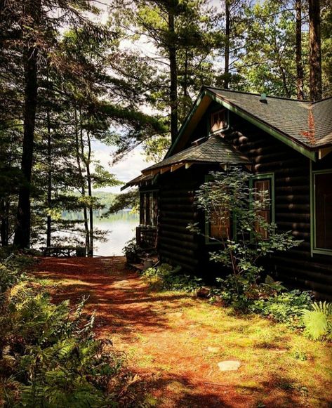 Old Lake House Aesthetic, Maine Forest Aesthetic, Forest Lake House, Old Lake House, Cabincore Aesthetic, Cottage By The Lake, Cabin On Lake, Cabin On The Lake, Cabin By The Lake