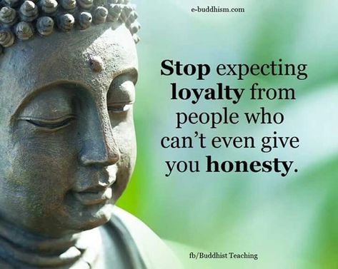 Buddism Quotes, Buddha Thoughts, Stop Expecting, Quotes Music, Buddha Quotes Inspirational, Buddhist Teachings, Buddhism Quote, Buddhist Quotes, Buddha Teachings