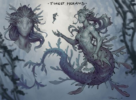 Forest Mermaid, Taran Fiddler, Fantasy Mermaids, Humanoid Creatures, Mermaids And Mermen, Fantasy Monster, Mythological Creatures, Monster Design, Creature Concept Art