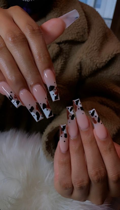 Nails 2023 Trends White And Black, Vaquera Nail Ideas, Vaquita Nails, Cow French Tip, Cow Pattern Nails, Rodeo Nails, Cowboy Nails, Brown Acrylic Nails, Queen Nails