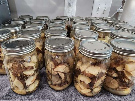 Homemade Dish Soap, Canning Potatoes, Dehydrating Food, Fermented Pickles, Frozen Potatoes, Pressure Canning, Meals In A Jar, Russet Potatoes, Pantry Staples