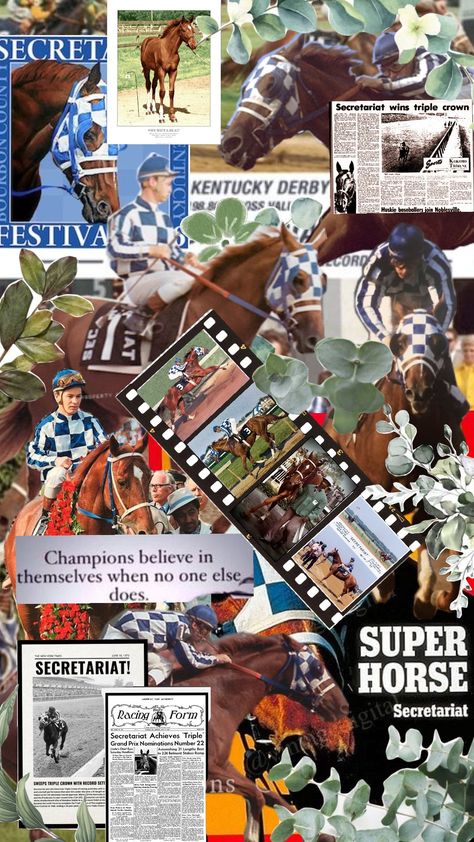 Secretariat #secretariat #horse #horses #racing #horseracing Secretariat Wallpaper, Horse Racing Aesthetic, Secretariat Horse, Horses Racing, Racing Aesthetic, Movie Vibes, Best Country Singers, Jockey Club, Horse Wallpaper